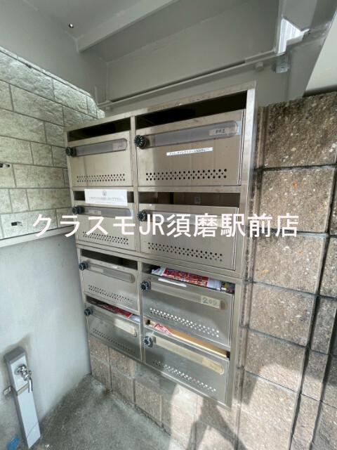 20/30 その他画像