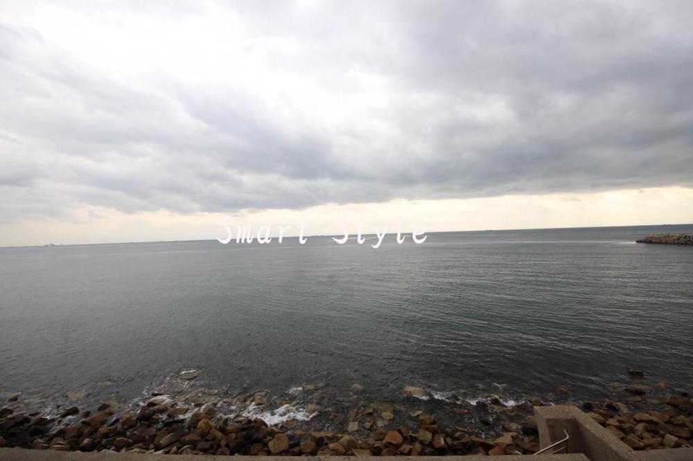 16/29 その他画像