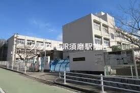 4/9 周辺