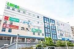 19/24 周辺