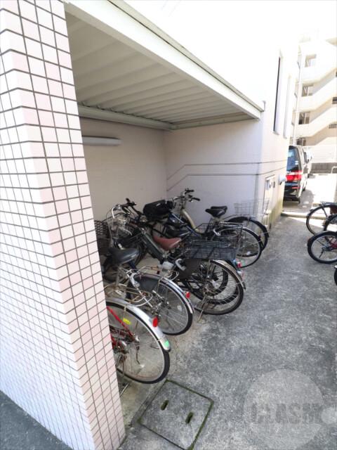 20/30 その他画像