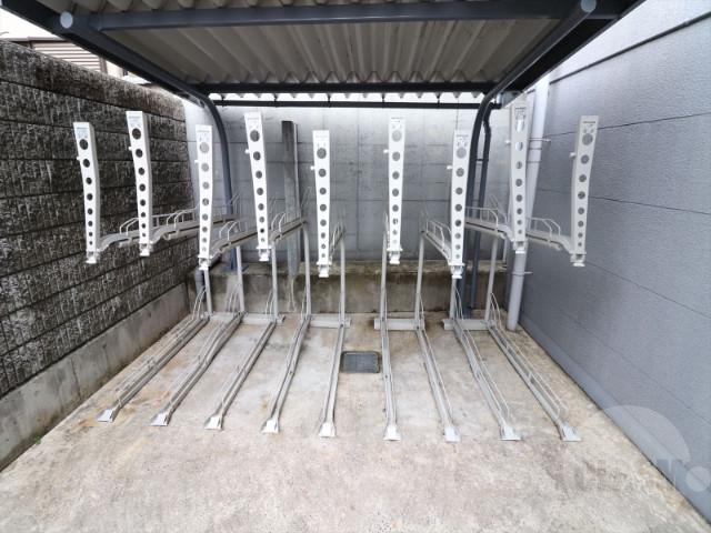 20/30 その他画像