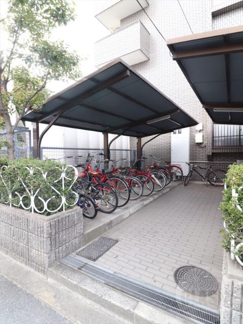 20/30 その他画像