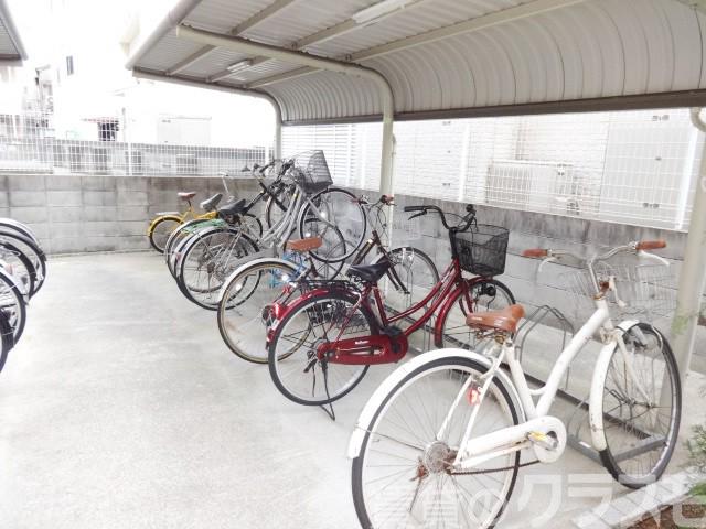 19/26 その他画像