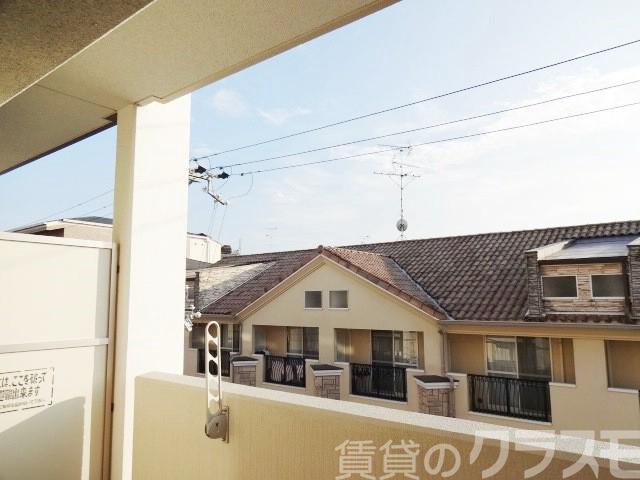 15/19 その他画像