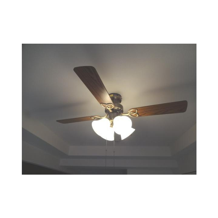 17/25 その他画像