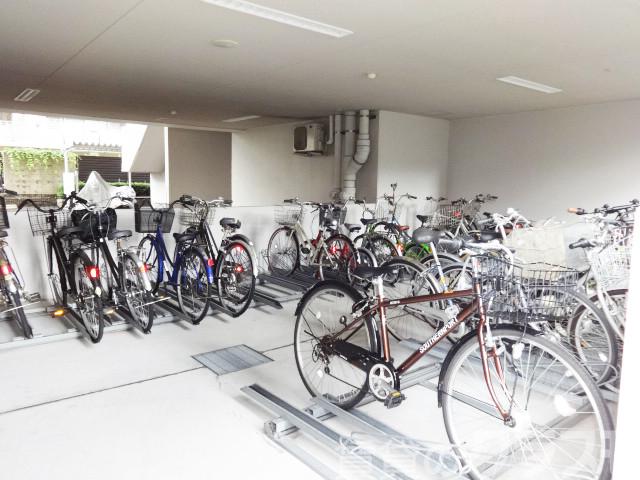 21/29 その他画像