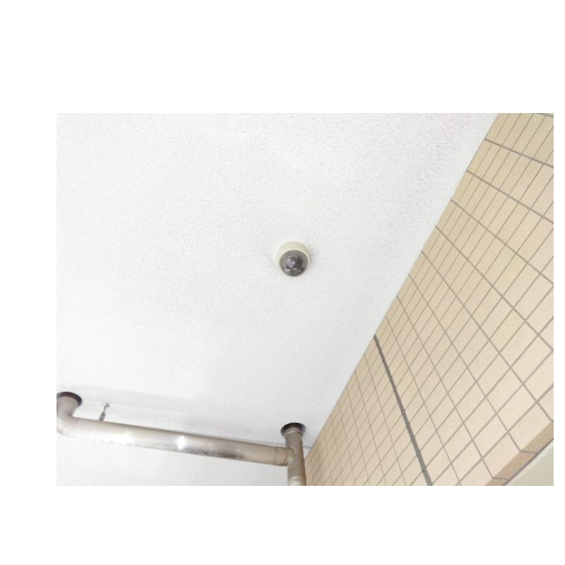 16/21 その他画像