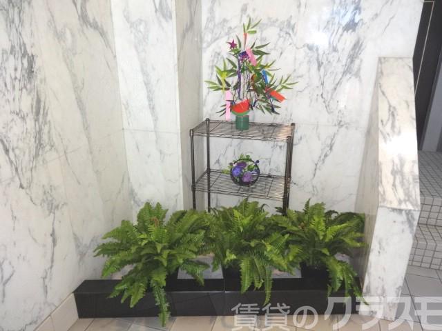 13/18 その他画像