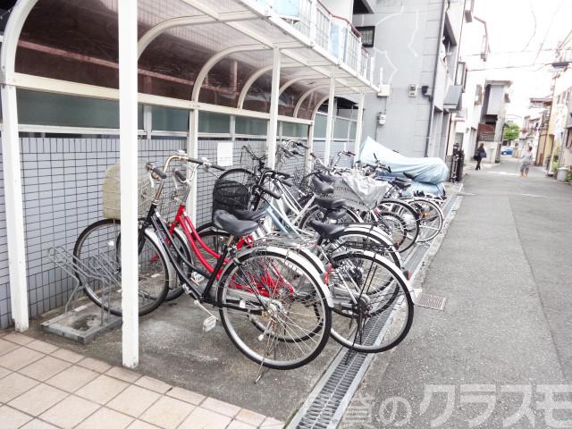 15/19 その他画像