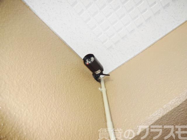 17/24 その他画像