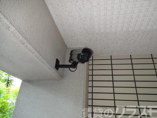 14/21 その他画像