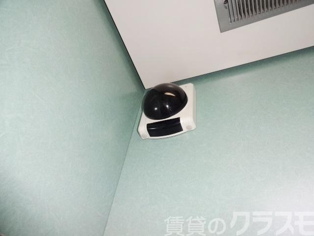 19/26 その他画像