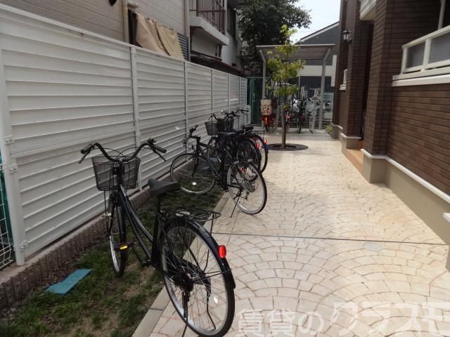 20/24 その他画像