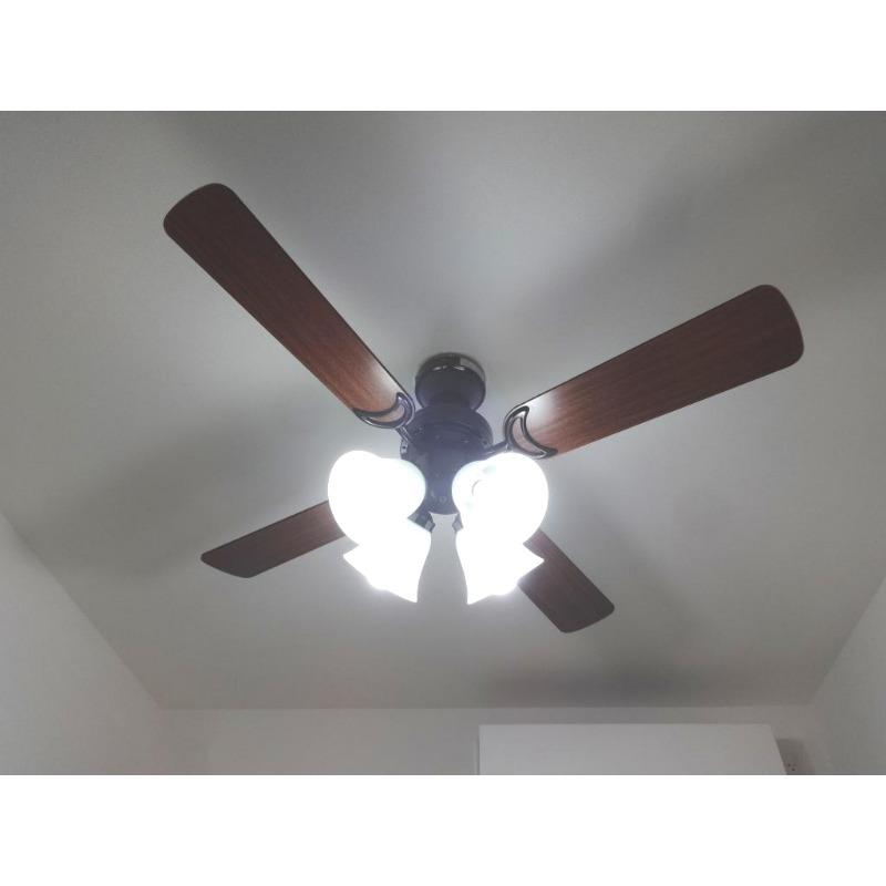 16/24 その他画像