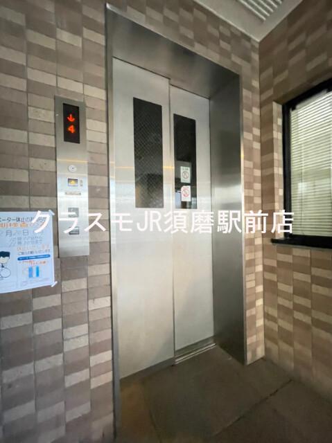 3/10 周辺