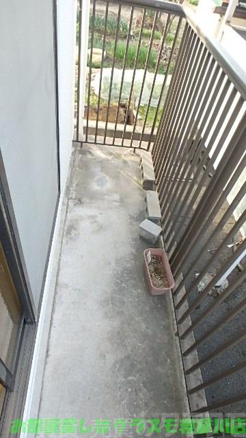 11/20 バルコニー