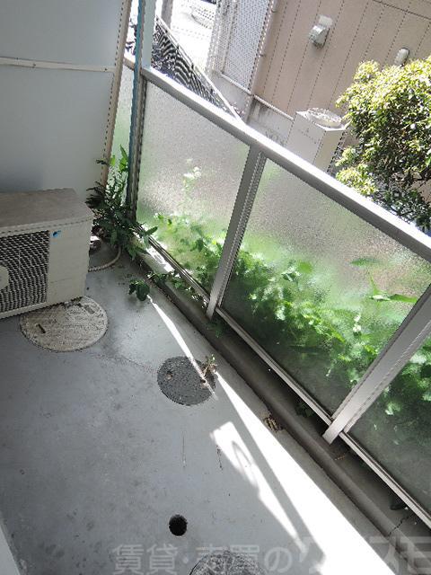 17/19 その他画像