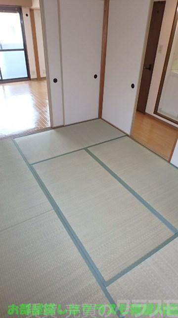 12/24 その他画像