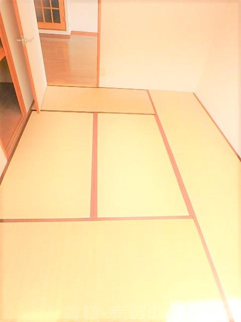 21/26 その他画像