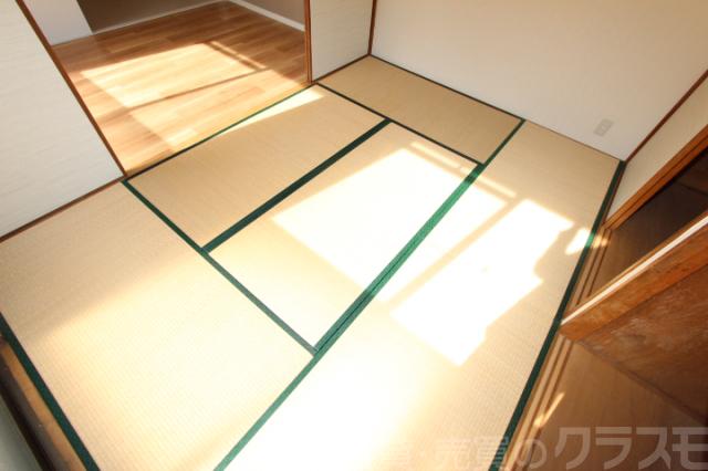 15/17 その他画像