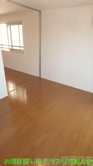 15/19 その他画像