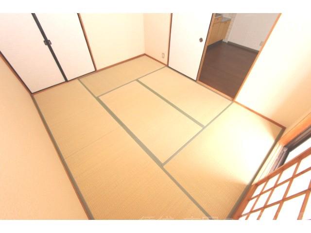 17/20 その他画像