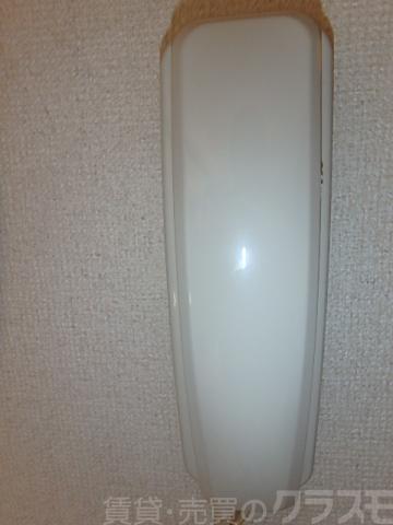 15/17 その他画像