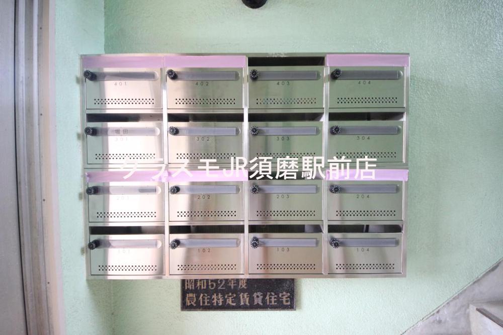 20/30 その他画像