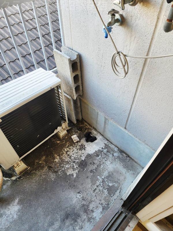 15/20 その他画像