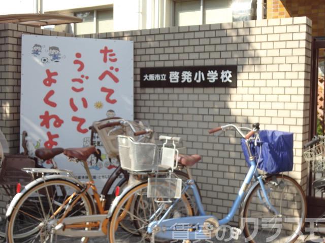 29/30 周辺
