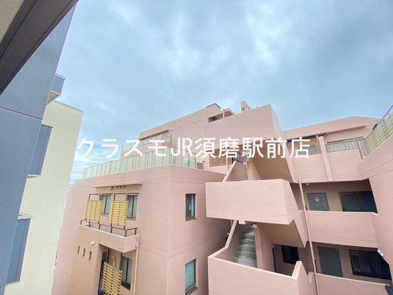 15/29 その他画像