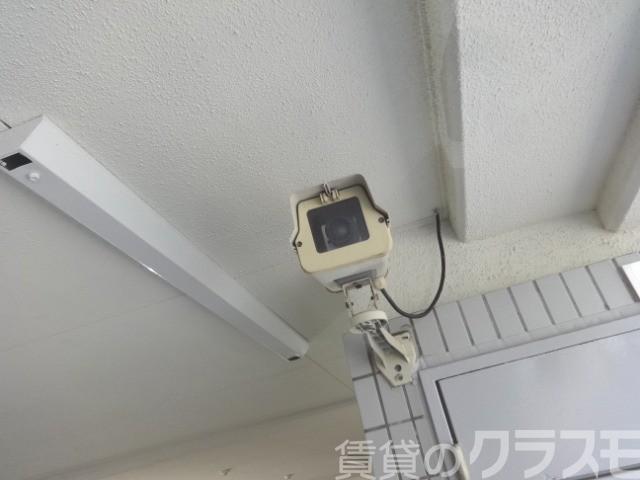 17/25 その他画像