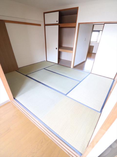 17/29 その他画像