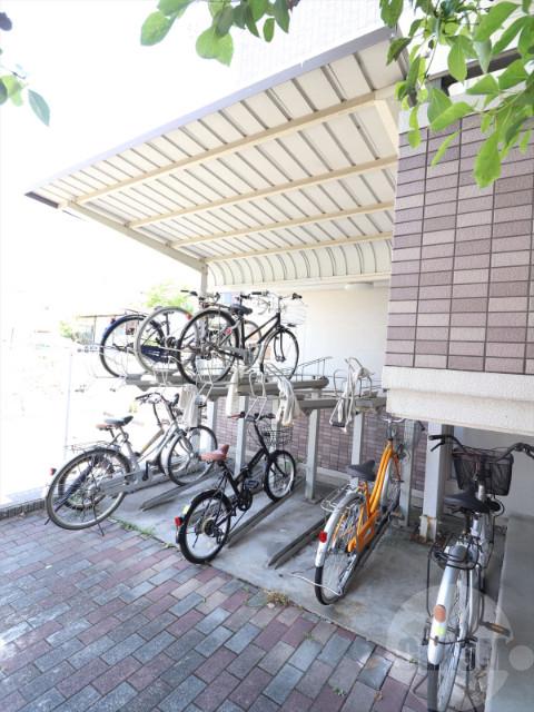 20/30 その他画像