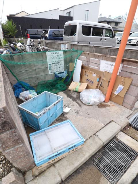 20/30 その他画像