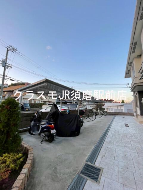 3/15 その他画像