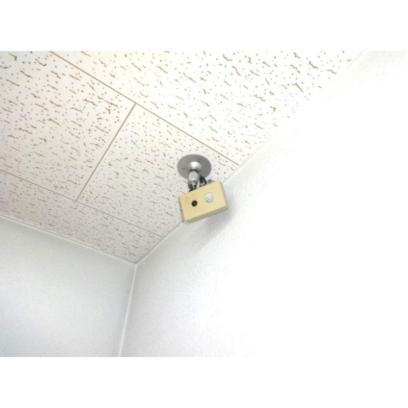 19/24 その他画像