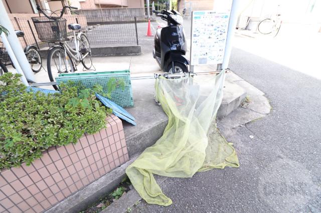 20/30 その他画像