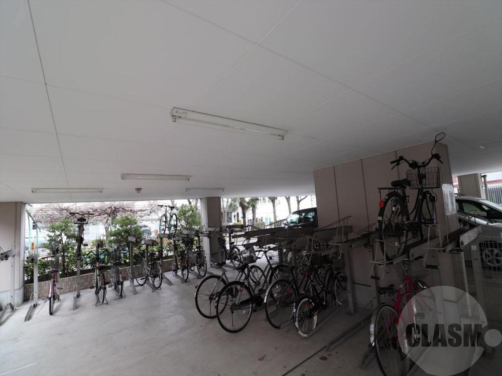 20/30 その他画像