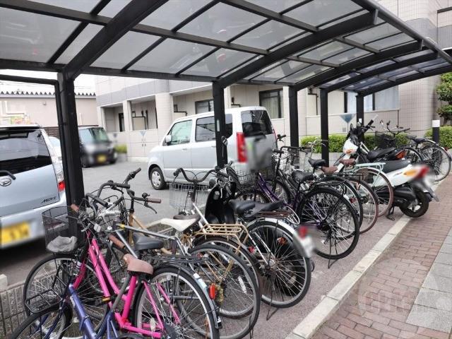 20/30 その他画像