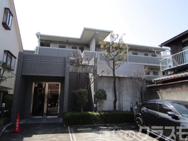 19/26 その他画像