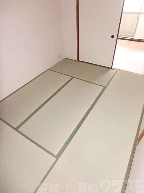 13/17 その他画像