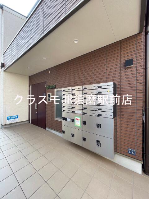 17/26 その他画像