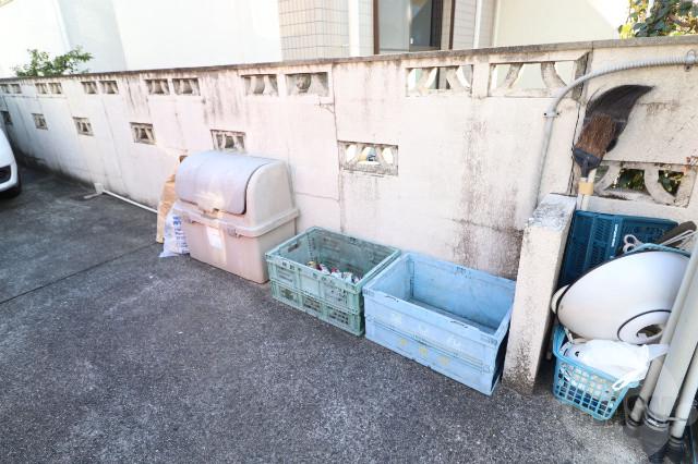 20/30 その他画像