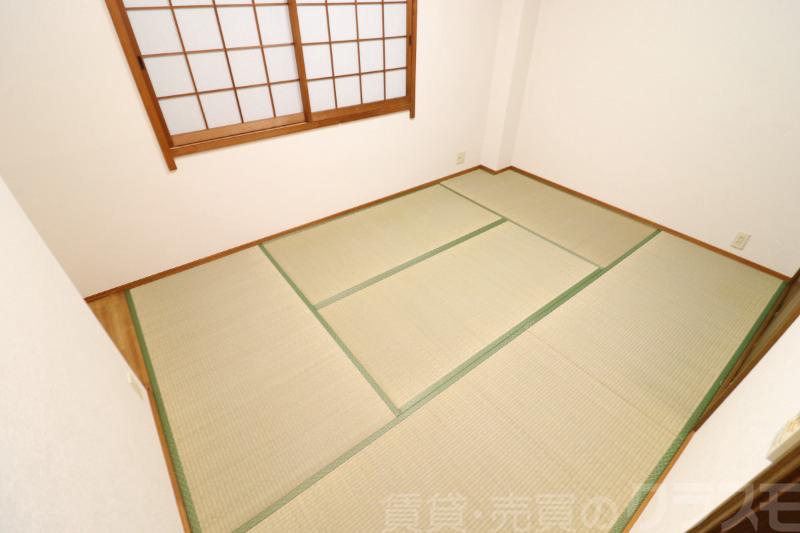 15/19 その他画像