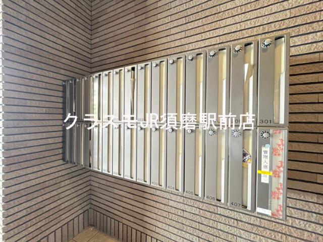 20/30 その他画像