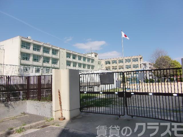 25/29 周辺