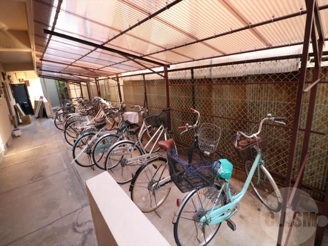 20/30 その他画像