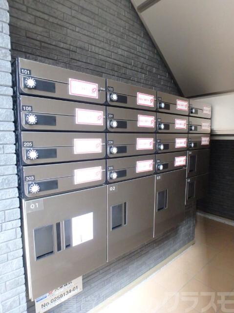 20/30 その他画像